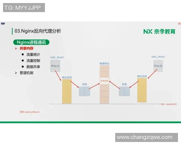 深入探讨上海篮球队战术表现的数据分析与战绩影响因素